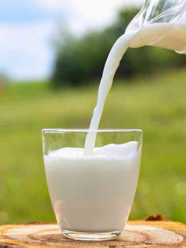 Does Milk Get Rid of High: Possible Friend in Intoxication